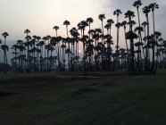 Pôr do sol na bela Andhra Pradesh, Índia — Fotografia de Stock