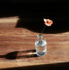 Poppy flower in a bottle of water on wooden table — Stock Photo