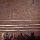 Hühner im Hühnerstall, USA, Flüstern — Stockfoto