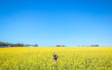 Girl standing in canola field with blue sky on background — Stock Photo