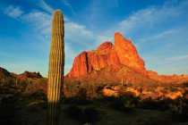Соединенные Штаты Америки, Arizona, La Paz County, Court thouse Rock, Morning View of Court thouse Rock in Eagletail Wilderness — стоковое фото