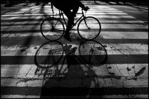 Силуэт велосипедиста крупным планом, США, Нью-Йорк — стоковое фото
