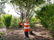 Portrait d'un petit garçon tenant un bâton dans une forêt — Photo de stock