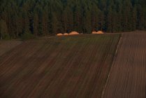 Aerial view of fields in autumn, Lithuania — Stock Photo