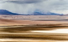 Vista panorámica de Monjes de la Pacana cerca de la frontera entre Chile y Argentina - foto de stock