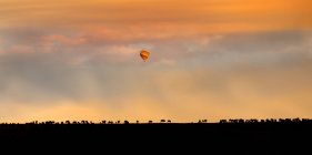 Balão de ar quente sobre planície africana no belo céu do pôr do sol, África — Fotografia de Stock