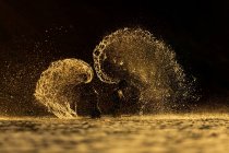Imagem conceitual de duas pessoas asiáticas em salpicos de água dourada — Fotografia de Stock