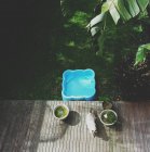 Azul piscina infantil y gato caminando en el patio verde visto desde arriba - foto de stock