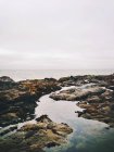 Blick auf Bohnen hohlen Staat Strand, Vereinigte Staaten, Kalifornien, San Mateo County, Pescadero — Stockfoto