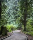Vista panorâmica da passarela de madeira através da floresta, Anmore, Colúmbia Britânica, Canadá — Fotografia de Stock