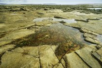 Мальовничий вид на прибережних приливних басейн, Національний парк Акадія, Мен, США — стокове фото