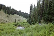 Donna escursionismo lungo il fiume, Wyoming, America, Stati Uniti d'America — Foto stock