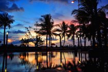Мальовничим видом з силует дерева пальми на заході сонця, Джакарта, Індонезія — стокове фото
