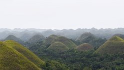 Schokoladenhügel im Nebel, Bohol-Insel, Philippinen — Stockfoto