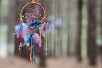 Multi-colorido Dreamcatcher pendurado na floresta contra fundo borrado — Fotografia de Stock