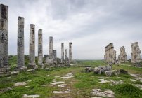 Руины римской колоннады, Хама, Сирия — стоковое фото