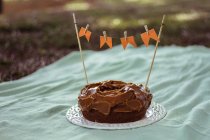 Святковий торт, прикрашений помаранчевими прапорами на відкритому повітрі — стокове фото