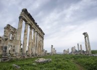 Руїни стародавніх римських колонадою, Хама, Сирійська Арабська Республіка — стокове фото