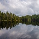 Величественный вид на лес, отражающийся в озере под облачным небом — стоковое фото