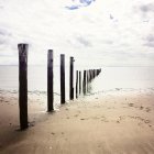 Vista panorámica de groyne de madera en la playa, Maasvlakte Strand, Holanda - foto de stock