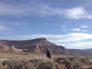 Visão traseira da mulher perto do Parque Nacional de Zion, Utah, EUA — Fotografia de Stock