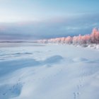 Vista panoramica della Finlandia, alba e impronte animali nella foresta di taiga — Foto stock
