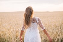 Вид ззаду жінки, що йде через пшеничне поле — стокове фото