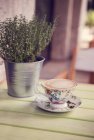 Cappuccio in floral teacup next to thyme plant — Stock Photo
