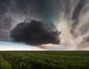 EUA, Nebraska, vista panorâmica da nuvem supercelular sobre o campo — Fotografia de Stock