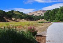 Красивый сельский пейзаж, США, Калифорния, Кармель Вэлли — стоковое фото