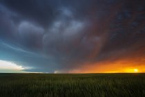 Tempesta di supercelle al tramonto, Colorado, USA — Foto stock