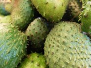 Close-up of green Tropical fruits in heap — Stock Photo