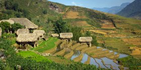 Cabanes de chaume et terrasses de riz, Sapa, Vietnam — Photo de stock