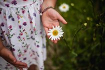 Close-up view of Girl in dress holding beautiful daisy flower — Stock Photo