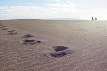 Malerischer Blick auf Fußabdrücke auf Sand in der Natur unter bewölktem Himmel — Stockfoto