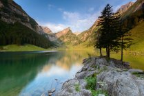 Vista panorámica del hermoso lago Seealpsee, Suiza - foto de stock