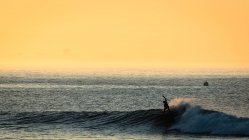 Silhouette of a surfer doing a cutback at sunrise, malibu, california, america, USA — Stock Photo