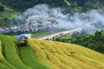Райс тераси полів і Mu Cang чай, за круглим, В'єтнам — стокове фото