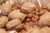 Close-up of tasty hazelnuts and walnuts heap — Stock Photo
