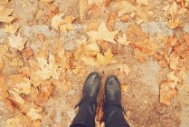Обрезанное изображение женских ног, стоящих среди осенних листьев — стоковое фото