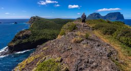 Senderismo de hombre en acantilados costeros, Isla Lord Howe, Nueva Gales del Sur, Australia - foto de stock