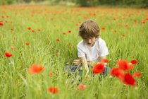 Мальчик, сидящий со скрещенными ногами на маковом поле — стоковое фото