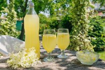 Limonata di fiori di sambuco in bottiglia e bicchieri su tavolo in legno in giardino — Foto stock
