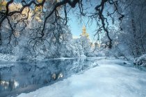 Величним видом сніг покриті дерев уздовж річки, Каван, Сполучені Штати Америки — стокове фото