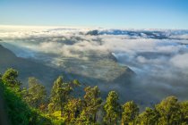 Wunderschöner Cemero-Rasen bedeckt von Wolken, Mount Bromo, Pasuruan, Ostjava, Indonesien — Stockfoto