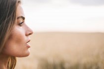 Портрет красивої жінки, що стоїть на пшеничному полі — стокове фото