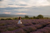 Жінка в романтичній сукні, що проходить через лавандове поле на заході сонця — стокове фото