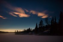 Vista panorámica del bosque místico al amanecer en Noruega - foto de stock