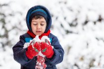 Маленький хлопчик в піджаку з капюшоном тримає сніг — стокове фото