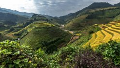 Vista panorâmica dos campos de arroz, Mu Cang Chai, YenBai, Vietnã — Fotografia de Stock